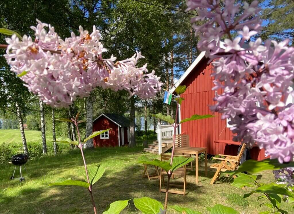 Stuga Bergvik Summer Flowers garden lake Revsundssjön BBQ Terras